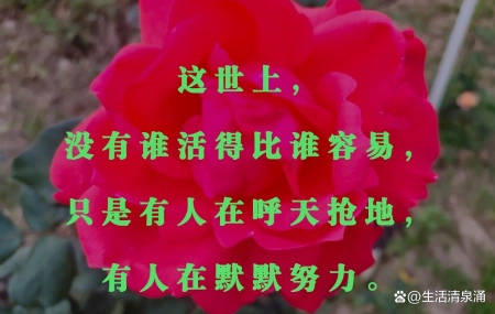 商标设计（太多人在放纵的生活中，彻底沦为欲望的奴隶）放纵的情绪，